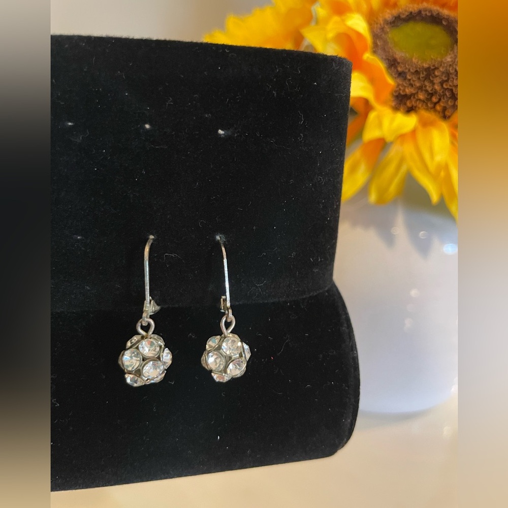 Elegant Silver Drop Earrings